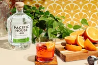 San Francisco Distillery Gin Cocktail Class 1.5 hr thumbnail 3