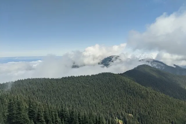 Olympic National Park Maiden Peak Day Hike - Image 5
