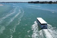 Clearwater Beach Dolphin and Island Sandbar Cruise thumbnail 6