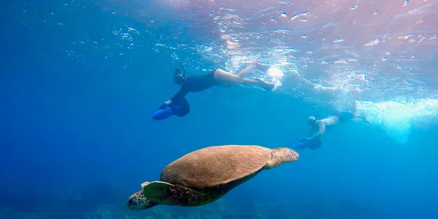 Wailea Beach Sea Scooter Snorkeling Tour - Image 2