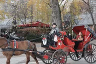 New York City Central Park Horse Carriage Ride 55 min thumbnail 1