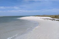Madeira Beach Shell Key Preserve Shelling Cruise 3 hr thumbnail 4