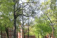 Cambridge MIT and Harvard Walking Tour thumbnail 6