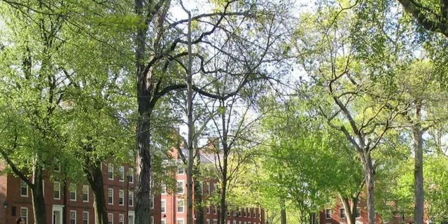 Cambridge MIT and Harvard Walking Tour - Image 6