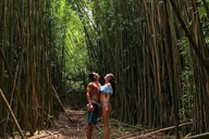 Maui Waterfall Adventure with GoPro Footage thumbnail 1