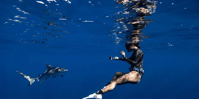 Kona Ocean Safari and Snorkel - Image 3
