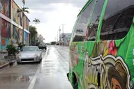 Miami City and Speedboat Tour thumbnail 2