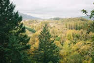 Portland Waterfalls Tour: Multnomah Falls & Columbia Gorge thumbnail 6