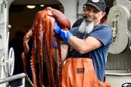 Ketchikan Bering Sea Crab Fisherman's Tour 3 hr thumbnail 2