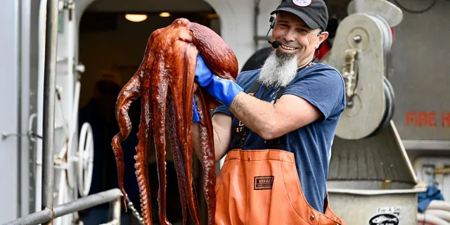 Ketchikan Bering Sea Crab Fisherman's Tour 3 hr - Image 2