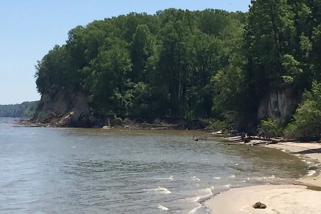 Chesapeake Beach Walking Tour of the Cliffs 90 min - Image 5