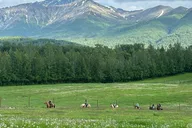 Anchorage Trail Ride and Homestead Tour thumbnail 1
