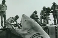 Jaws Tour in Martha's Vineyard thumbnail 6