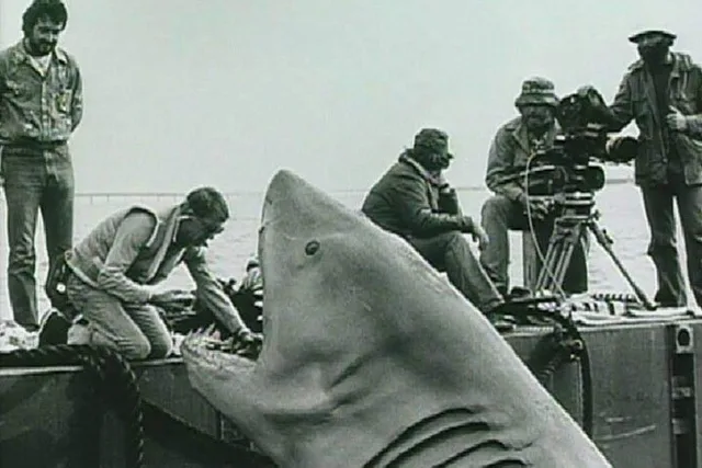 Jaws Tour in Martha's Vineyard - Image 6