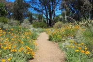 Walnut Creek Garden Admission thumbnail 4