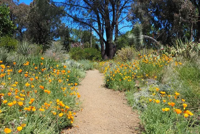 Walnut Creek Garden Admission - Image 4