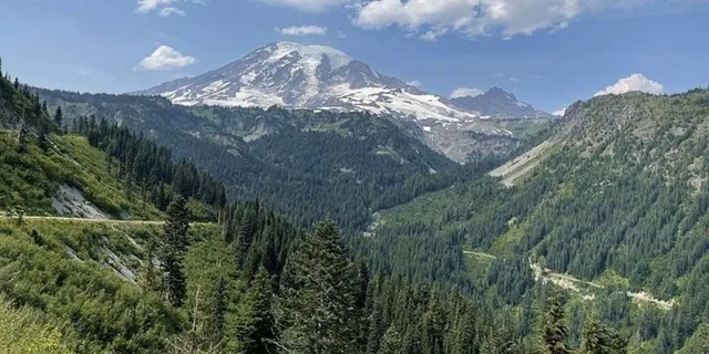 Seattle Olympic National Park Day Tour - Image 3