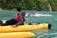 Ketchikan Sailing Tour of Alaska's Inside Passage 4 Days thumbnail 1