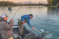 Kenai River Fishing Charter thumbnail 1