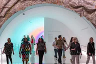 Houston Museum of Fine Arts Admission Ticket thumbnail 2