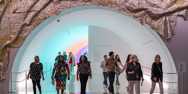 Houston Museum of Fine Arts Admission Ticket - Image 2