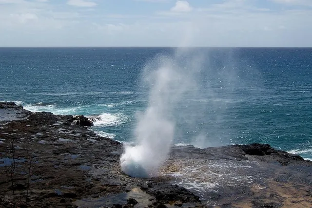 Kauai Private Tour of South & West Shores - Image 6