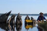 Lake Norris Kayak Tour 3 hr thumbnail 6