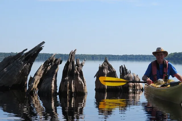 Lake Norris Kayak Tour 3 hr - Image 6