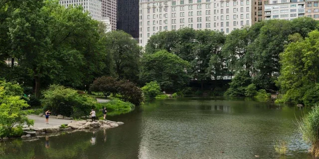 New York Central Park Film & TV Rickshaw Tour 1 hr - Image 5