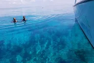 Key West Snorkel, Sandbar & Dolphin Excursion thumbnail 3