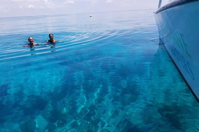 Key West Snorkel, Sandbar & Dolphin Excursion - Image 3