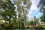 Crystal River Clear Kayak Manatee and Springs Tour thumbnail 3
