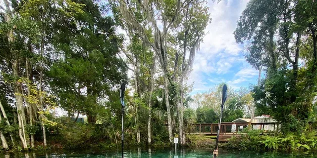 Crystal River Clear Kayak Manatee and Springs Tour - Image 3
