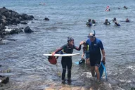 Kauai Private Snorkel Tour with Sea Turtles 2 hr thumbnail 4