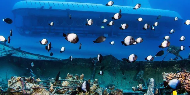 Kona Underwater Submarine Adventure - Image 3