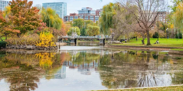 Boston Walking Tour of Freedom Trail, Beacon Hill & Back Bay - Image 2