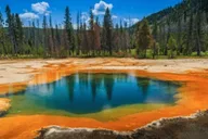 Jackson Wildlife Adventure in Yellowstone and Grand Teton 4-Day thumbnail 1