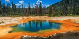 Jackson Wildlife Adventure in Yellowstone and Grand Teton 4-Day