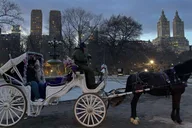 New York Central Park Horse and Carriage Ride thumbnail 3