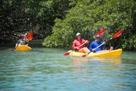 Key West Schooner Eco Tour with Snorkel and Kayak thumbnail 6