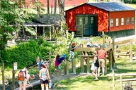 Hendersonville Gem Mining and Goat Farm Tour thumbnail 5