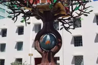 Miami Private Sightseeing Tour thumbnail 4