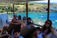 Maui Open-Air Banyan Tree & Blowhole Tour thumbnail 2