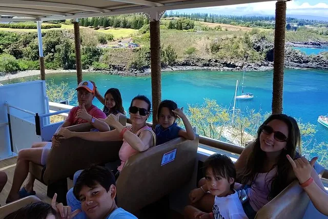 Maui Open-Air Banyan Tree & Blowhole Tour - Image 2