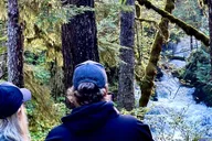 Ketchikan Rainforest Walk and Totem Park Tour thumbnail 3
