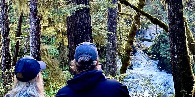 Ketchikan Rainforest Walk and Totem Park Tour - Image 3