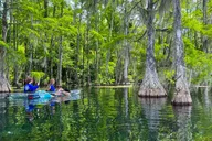 Marianna Clear Kayaking Eco Adventure thumbnail 4
