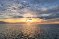 South Padre Island Dolphin Watch and Sunset Cruise thumbnail 4