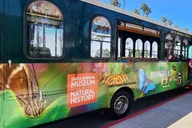 Santa Barbara Trolley Tour thumbnail 3