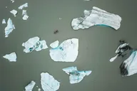Girdwood Bears, Trains & Icebergs Tour thumbnail 5